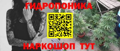 скорость Обь