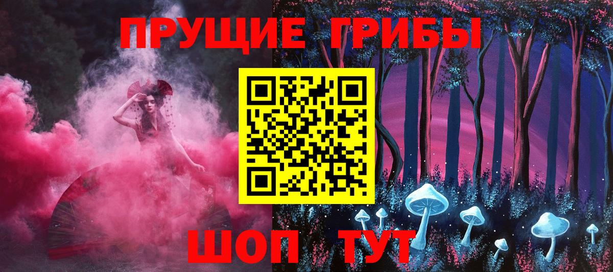 Галлюциногенные грибы Psilocybine cubensis Россия